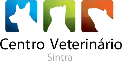 Centro Veterinario Sintra